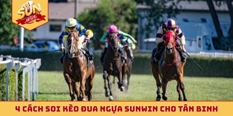 4 cách soi kèo đua ngựa Sunwin cho tân binh